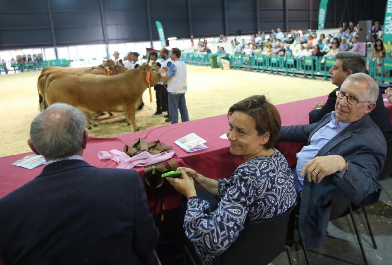 Gijón despide la feria de San Antonio