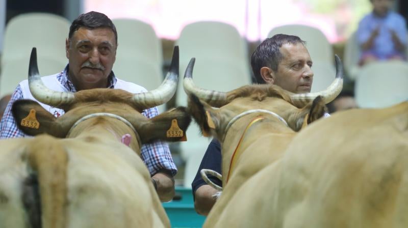 Gijón despide la feria de San Antonio