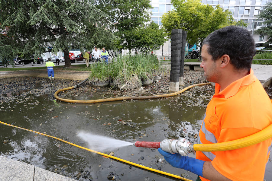 Continúan sacando cangrejos rojos en el estanque de la plaza de Europa