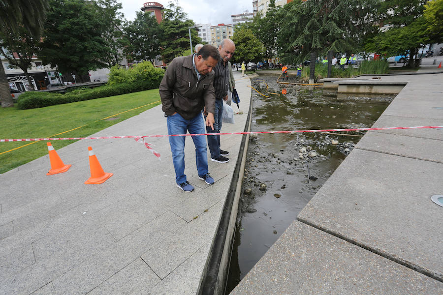 Continúan sacando cangrejos rojos en el estanque de la plaza de Europa