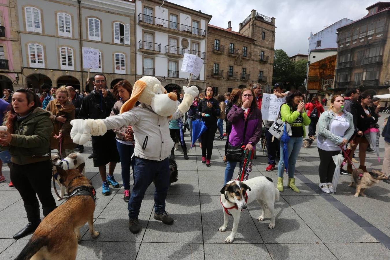 Concentración a favor de una perrera en Avilés