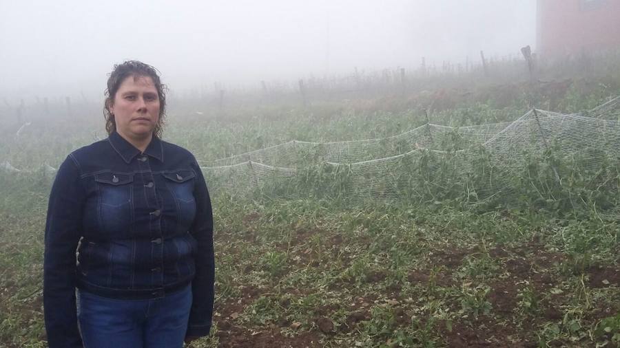 Las secuelas del granizo y la lluvia en el Suroccidente y Siero