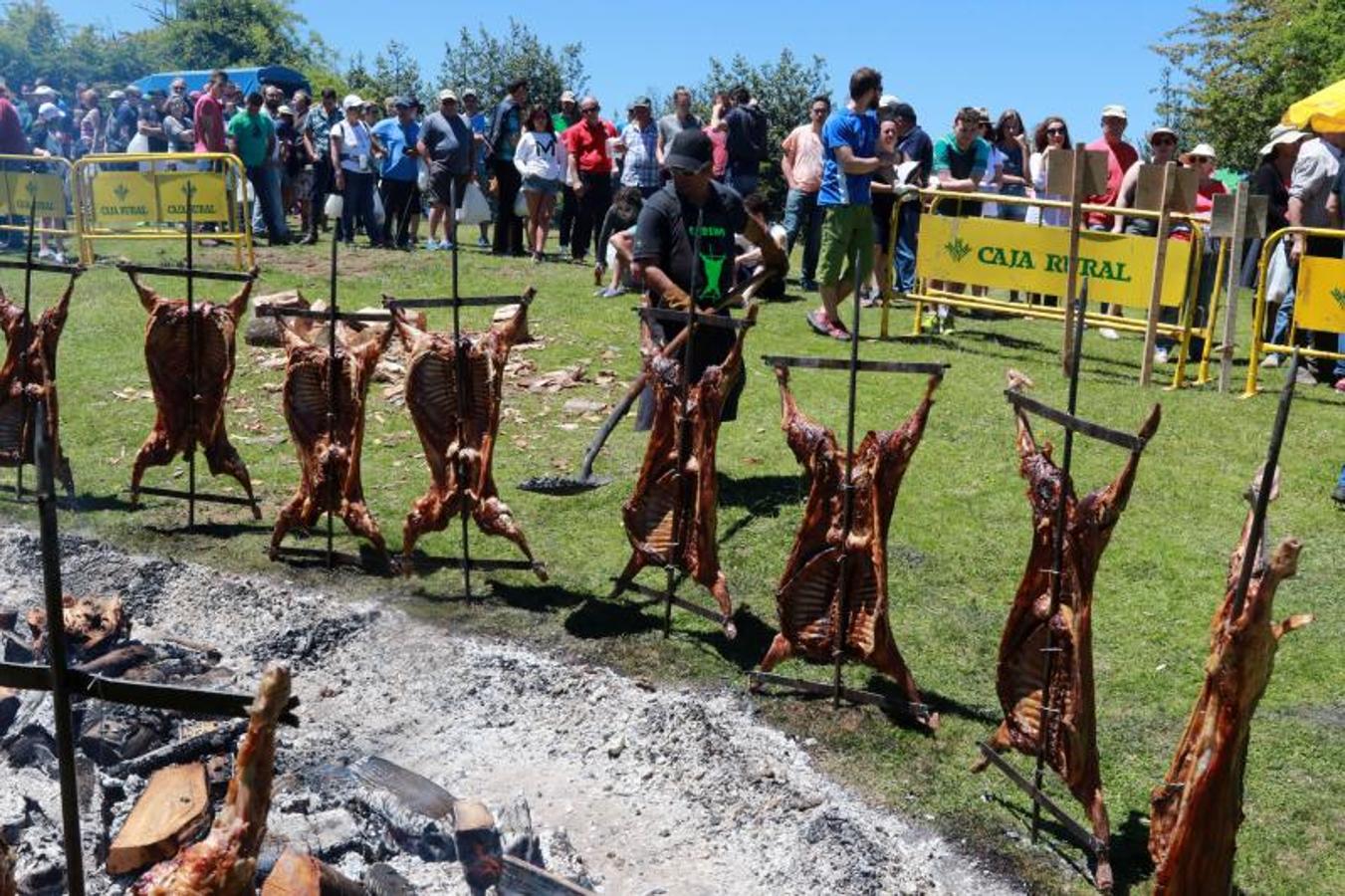 El cordero llena el Prau Llagüezos