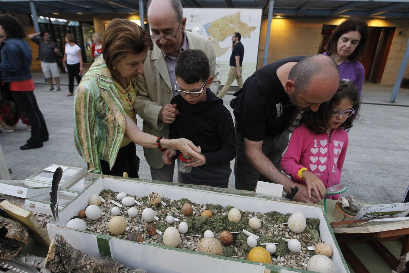 Nocturnia conquista las noches del Jardín Botánico de Gijón