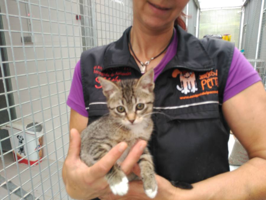 Naranjito con Pilar, trabajadora del Albergue de Serín