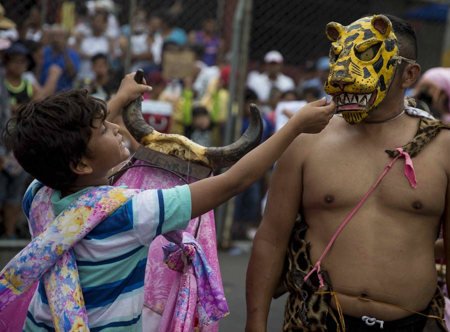 Las vacas culonas de Nicaragua