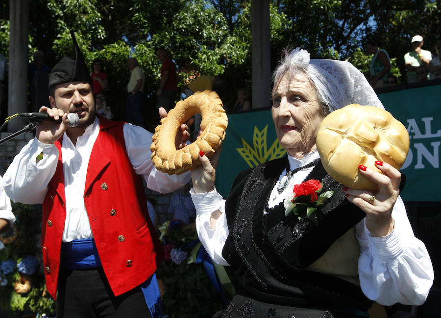 Jira y Danza Prima en el cerro de Santa Catalina