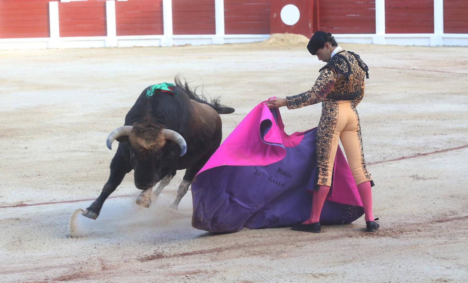 Novillada de apertura de la Feria Taurina de Begoña