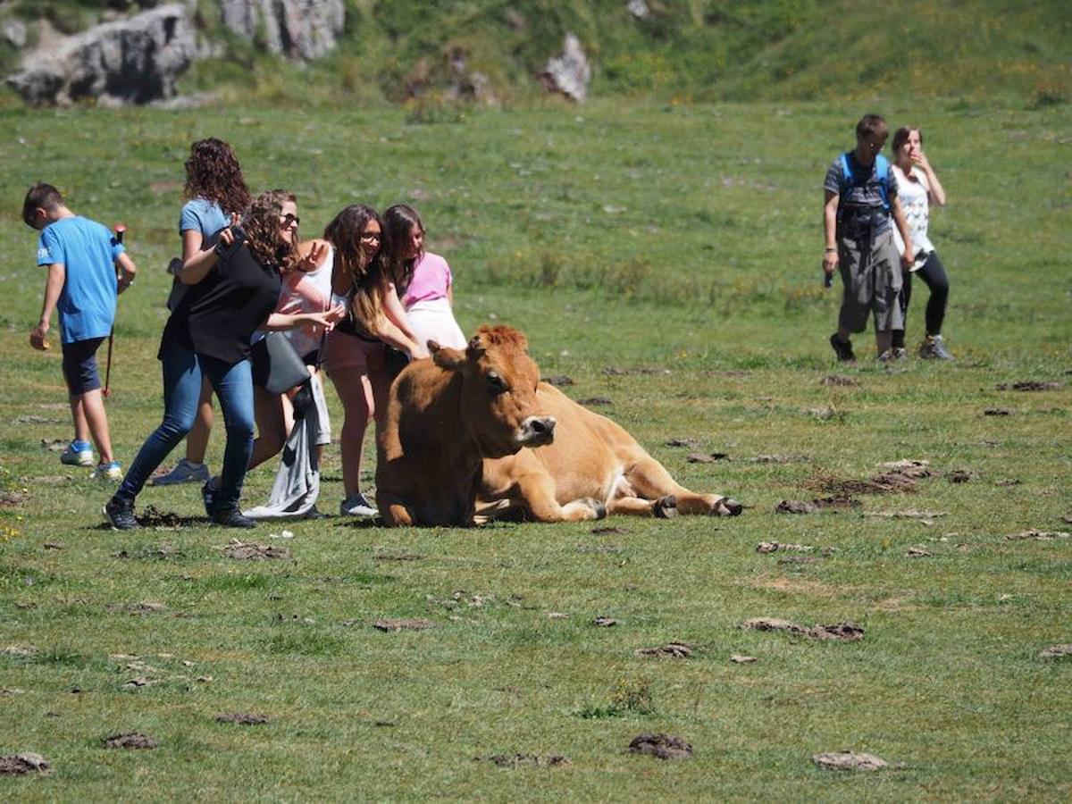 Lleno en los Lagos de Covadonga