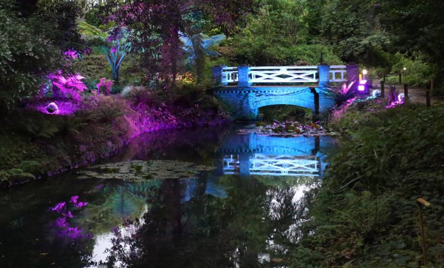 Así son las Noches Mágicas en el Botánico de Gijón