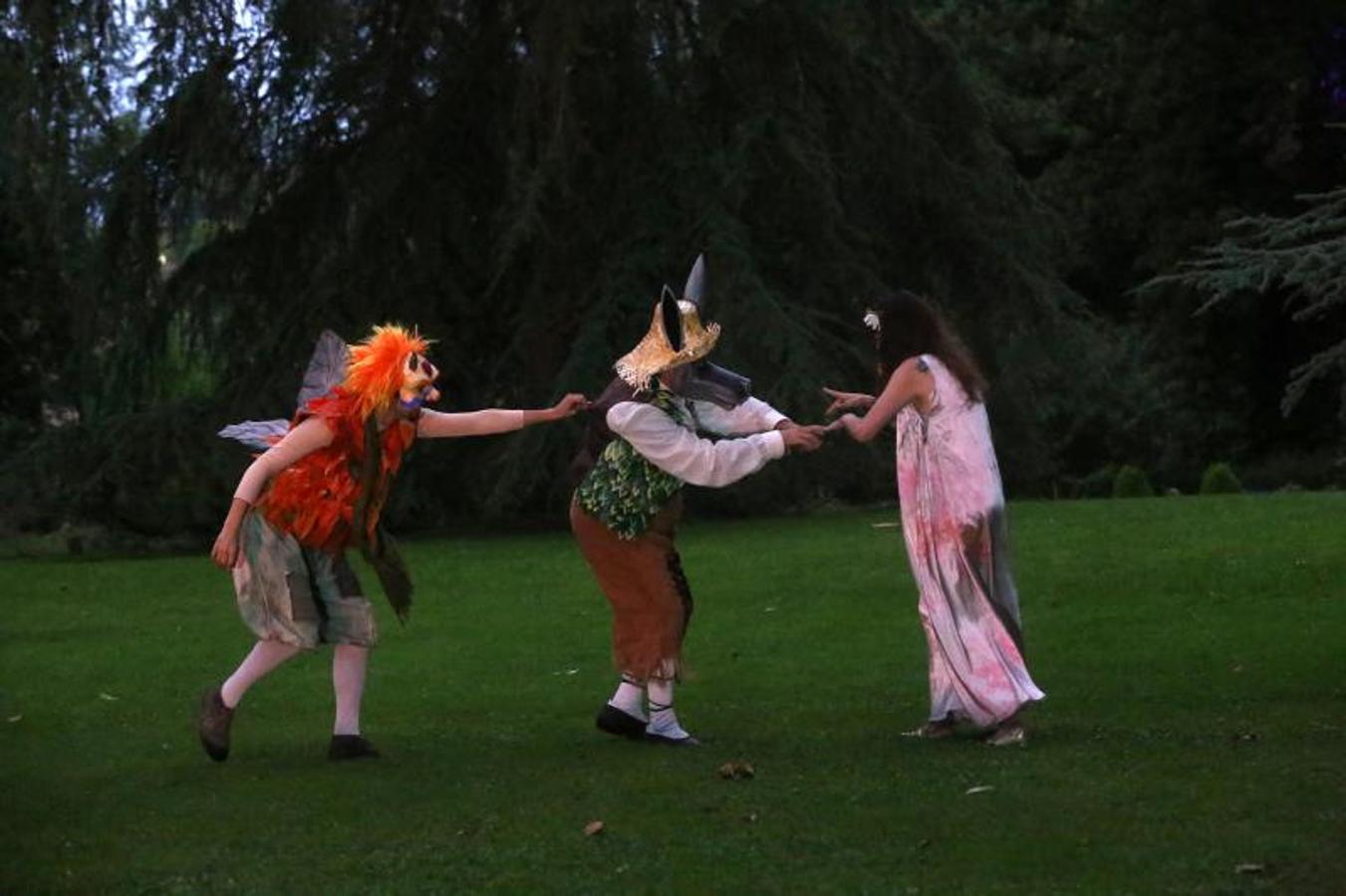 Así son las Noches Mágicas en el Botánico de Gijón