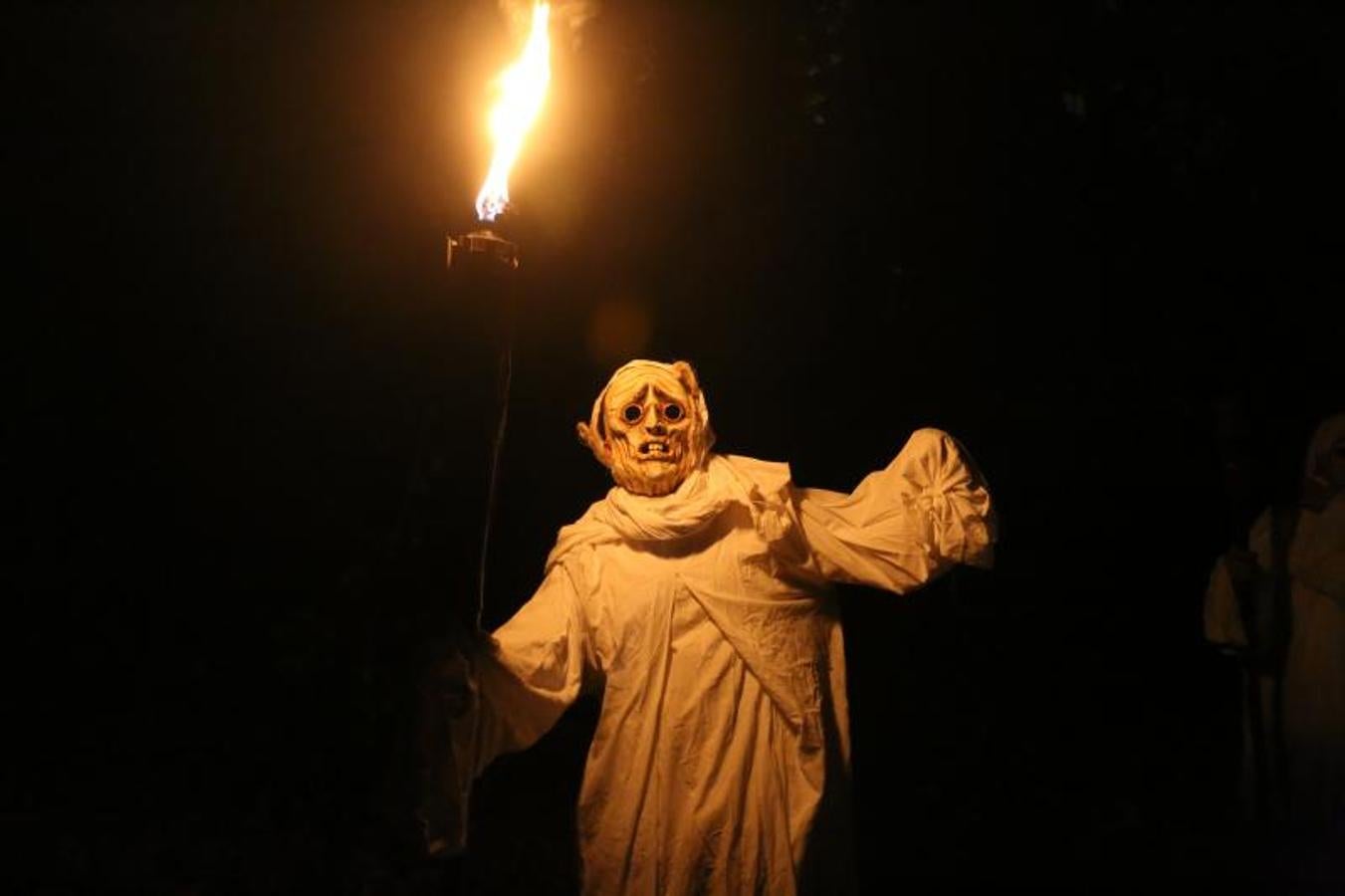 Así son las Noches Mágicas en el Botánico de Gijón