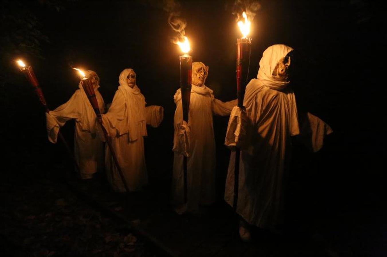 Así son las Noches Mágicas en el Botánico de Gijón