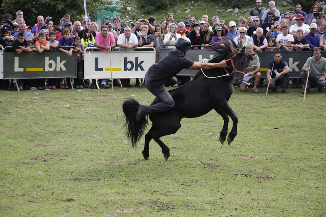 La Fiesta del Asturcón en la majada de Espineres