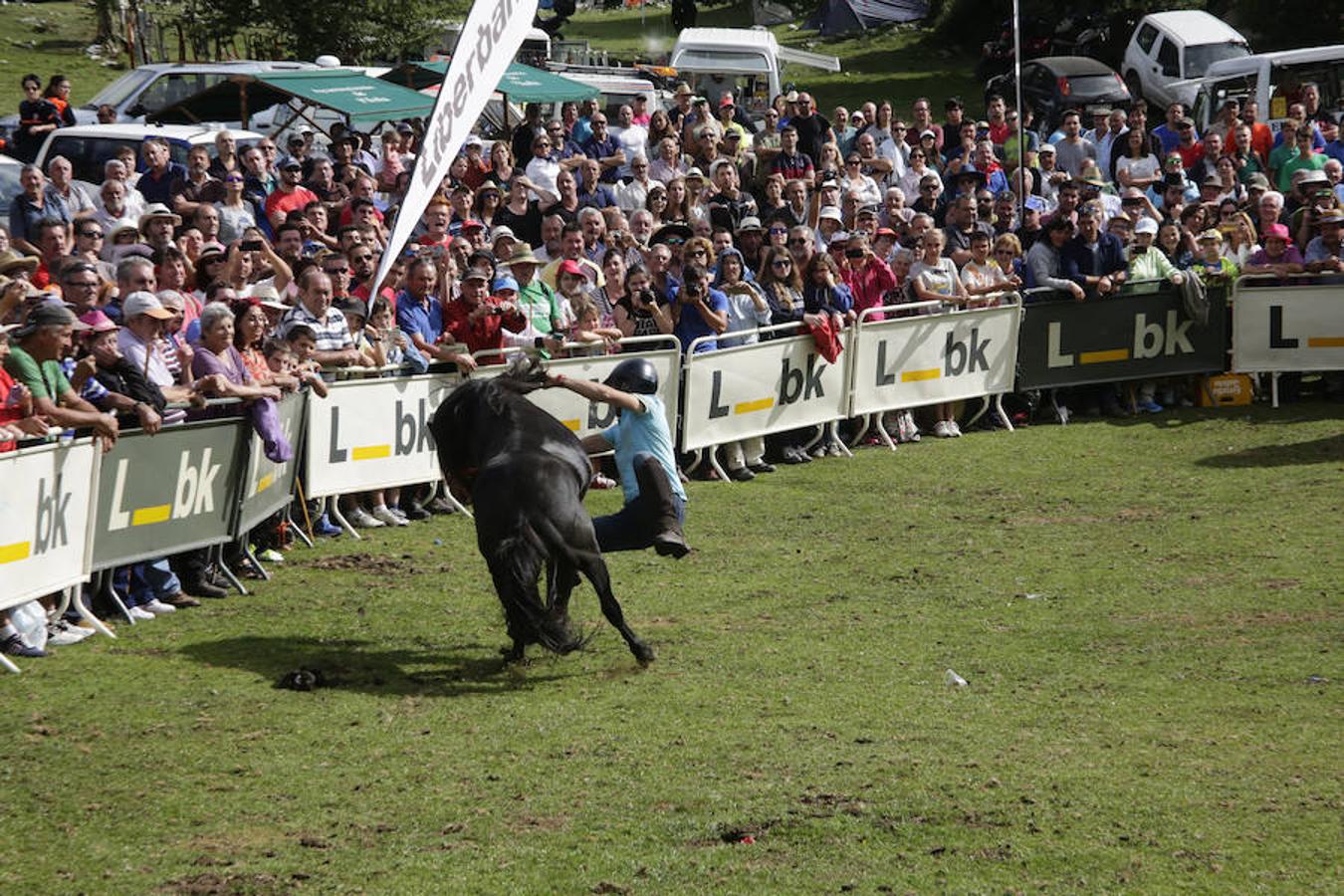 La Fiesta del Asturcón en la majada de Espineres