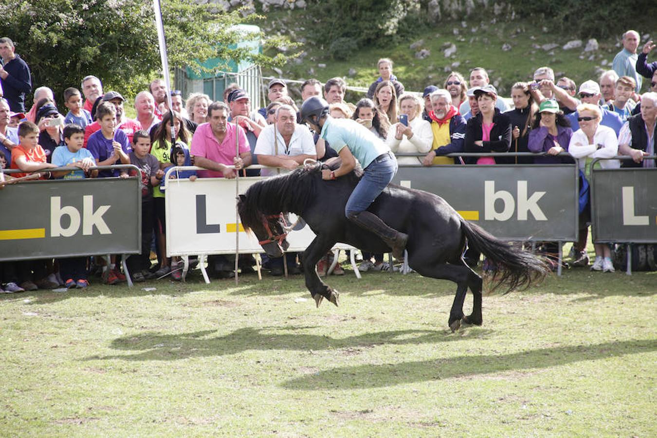 La Fiesta del Asturcón en la majada de Espineres