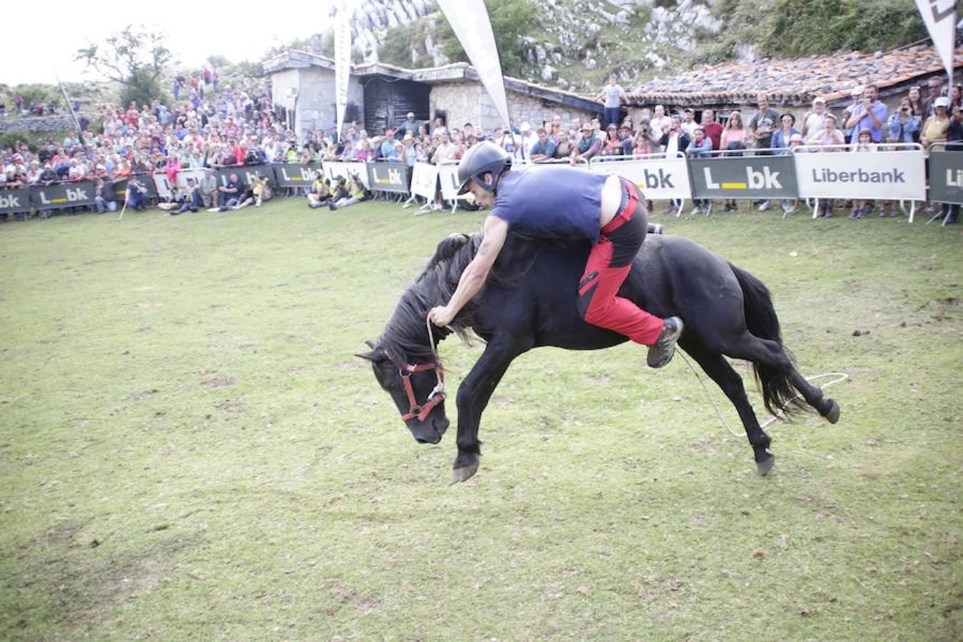 La Fiesta del Asturcón en la majada de Espineres