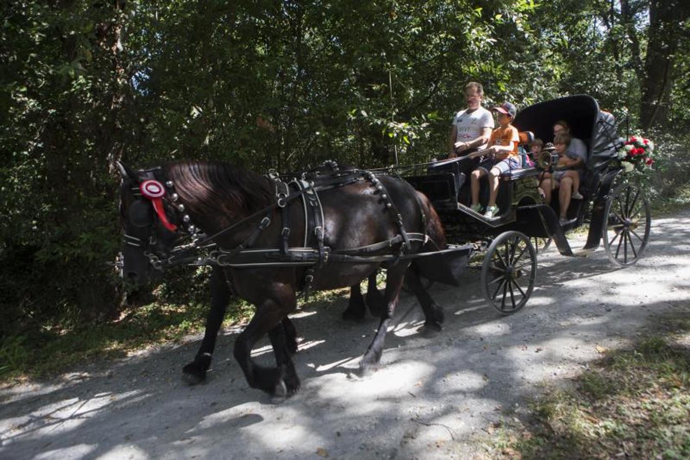 De picnic en el Botánico
