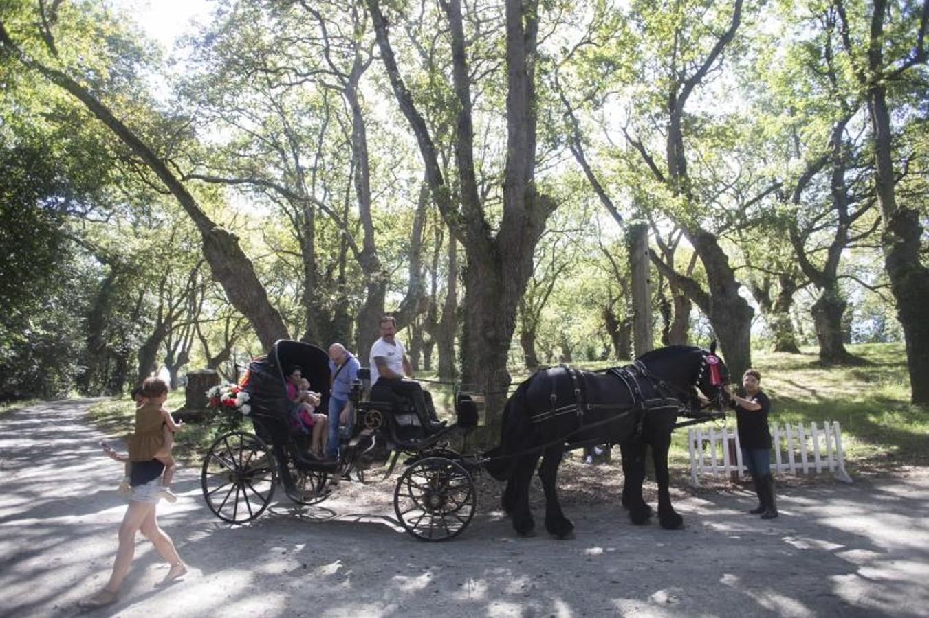 De picnic en el Botánico