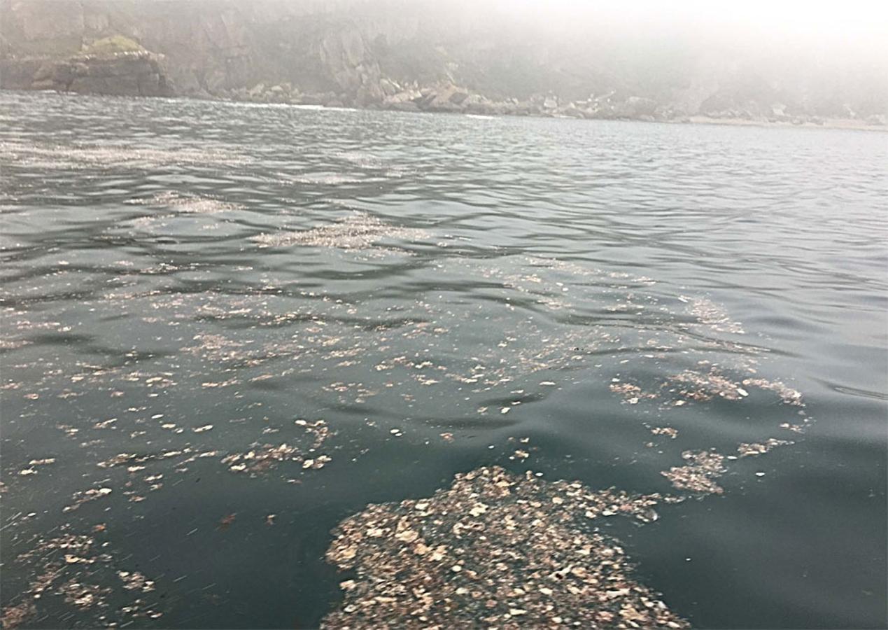 Así estaba en la mañana del lunes el agua de la costa de Gijón y Villaviciosa tras el vertido