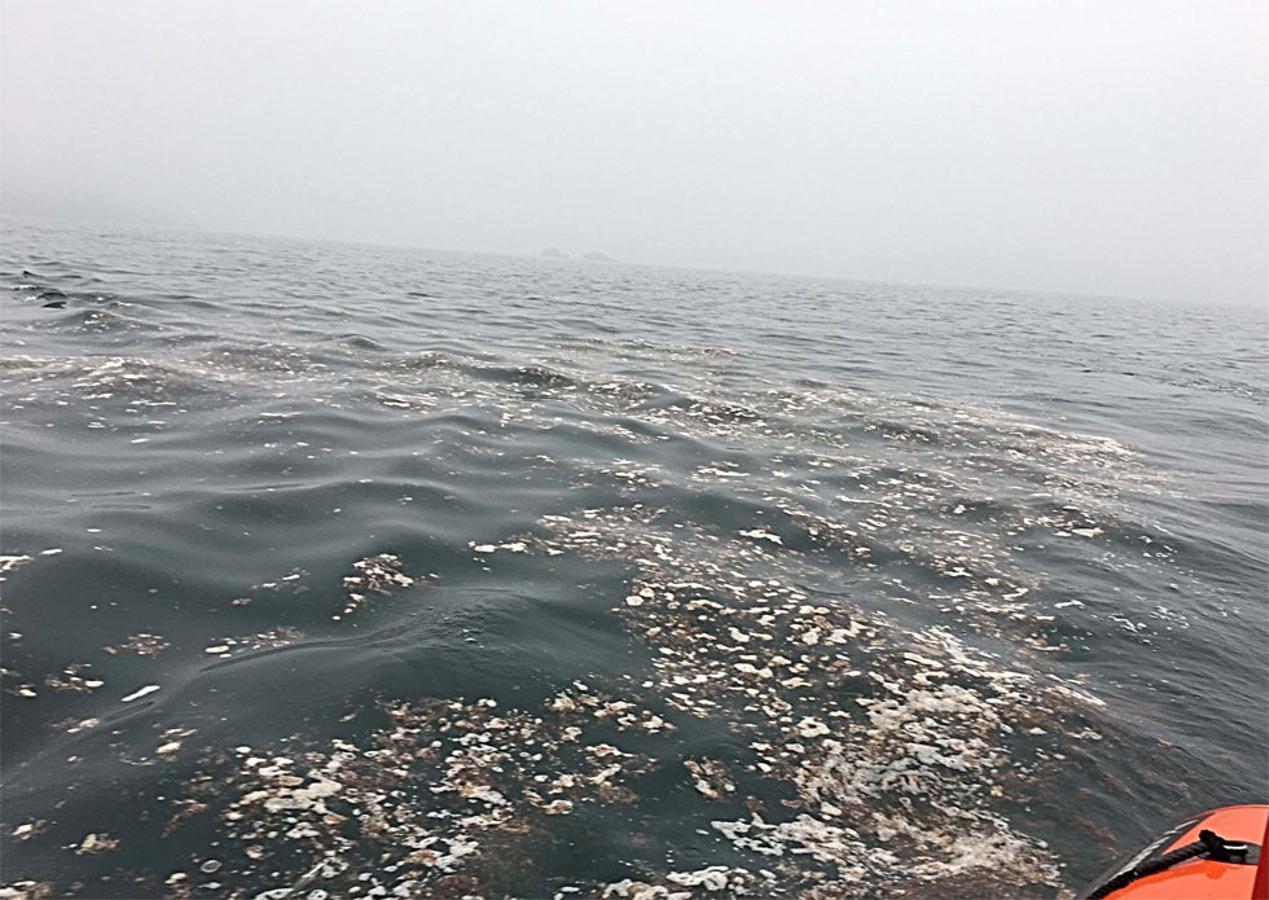 Así estaba en la mañana del lunes el agua de la costa de Gijón y Villaviciosa tras el vertido