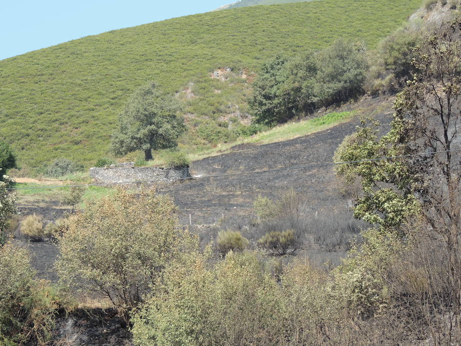 Incendio en Degaña