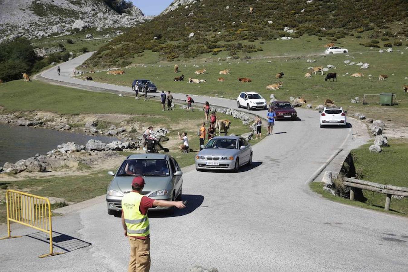 Cortes de tráfico en los Lagos de Covadonga