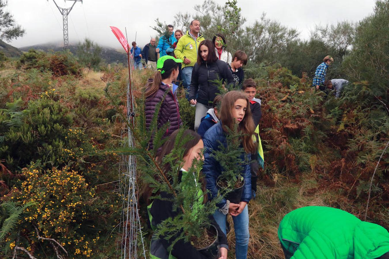 Limpieza de las pistas de Pajares