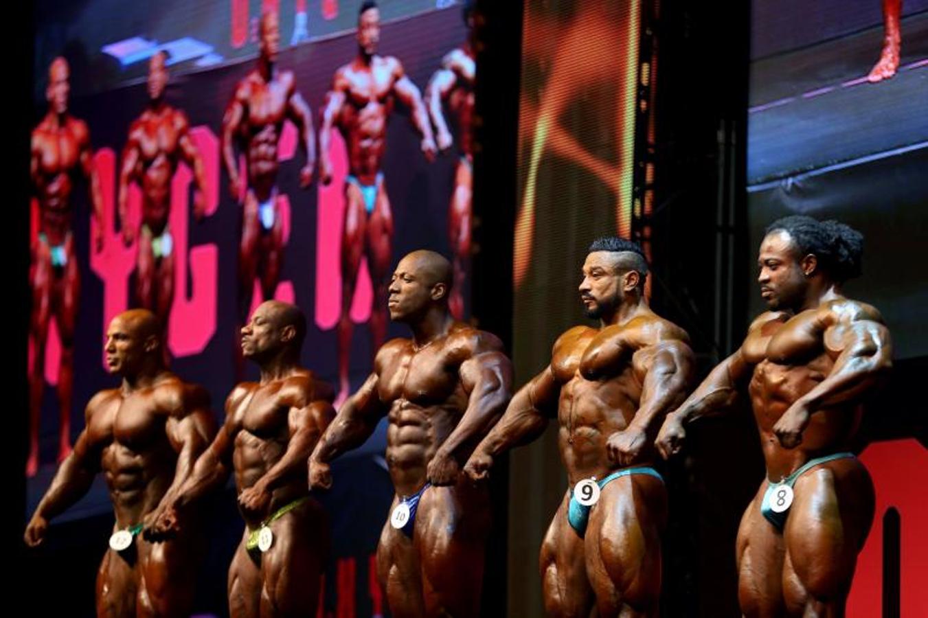 Esculturas de carne y hueso