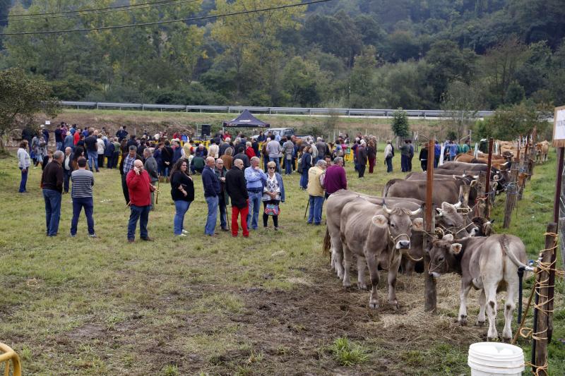 San Julián celebra las fiestas del Rosario