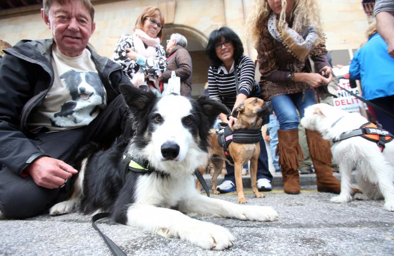 Manifestación contra los sacrificios en la perrera de Oviedo