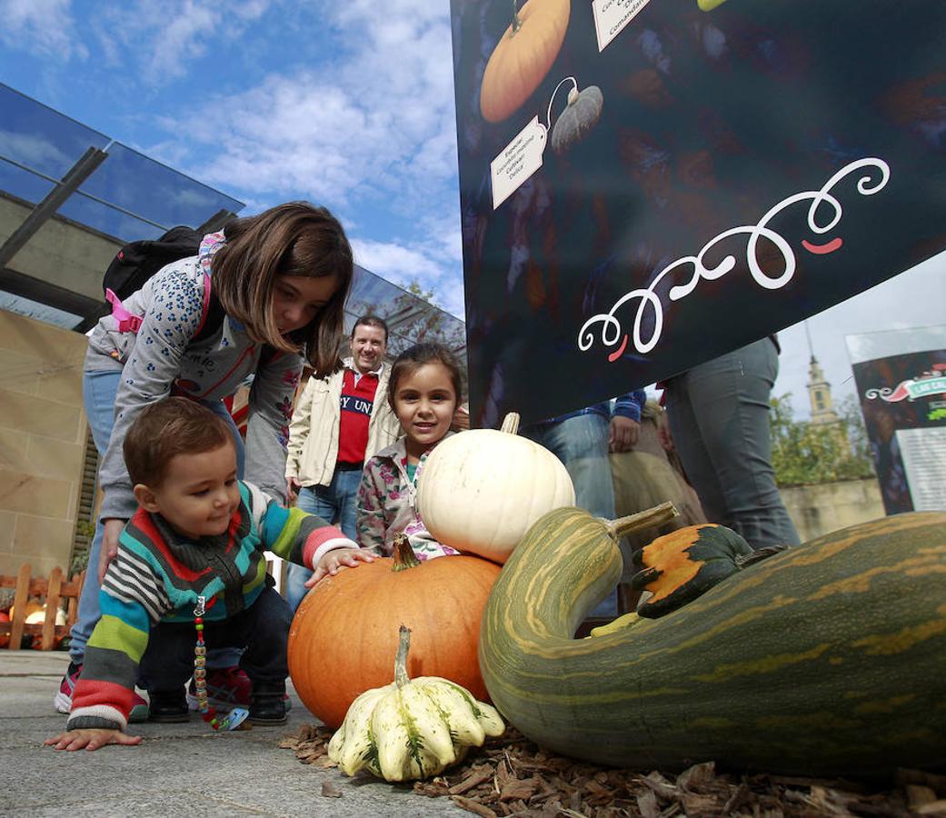 El Botánico de Gijón celebra el Día de las Calabazas