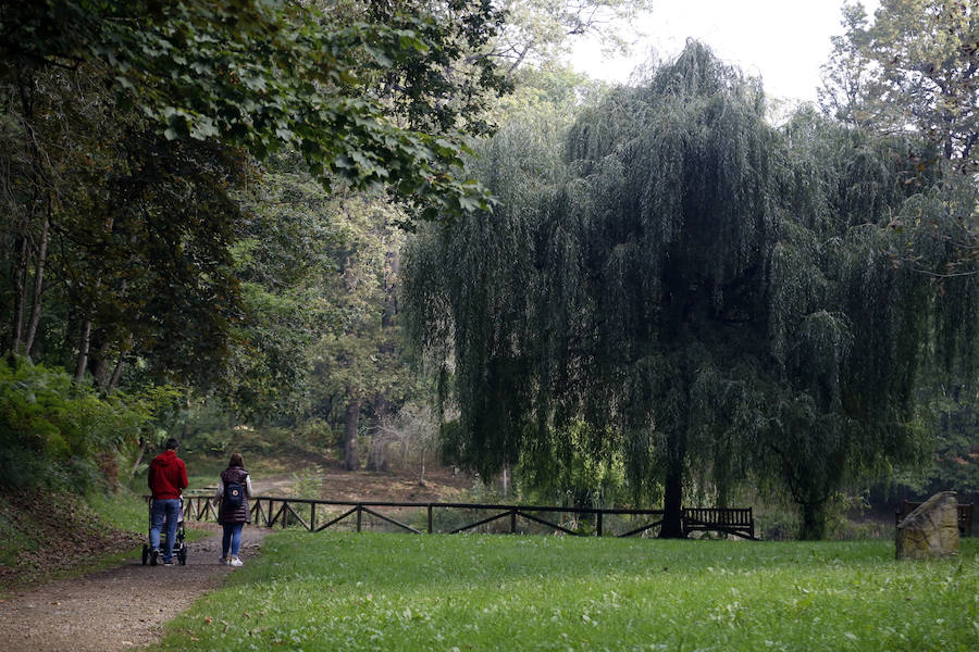 Un paseo por L&#039;Acebera de Lugones