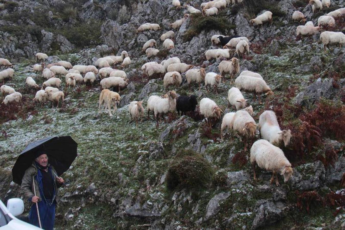 Los Lagos se cubren de nieve