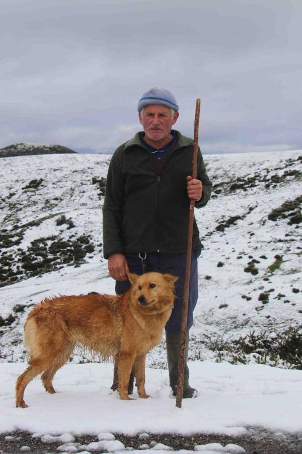 Los Lagos se cubren de nieve