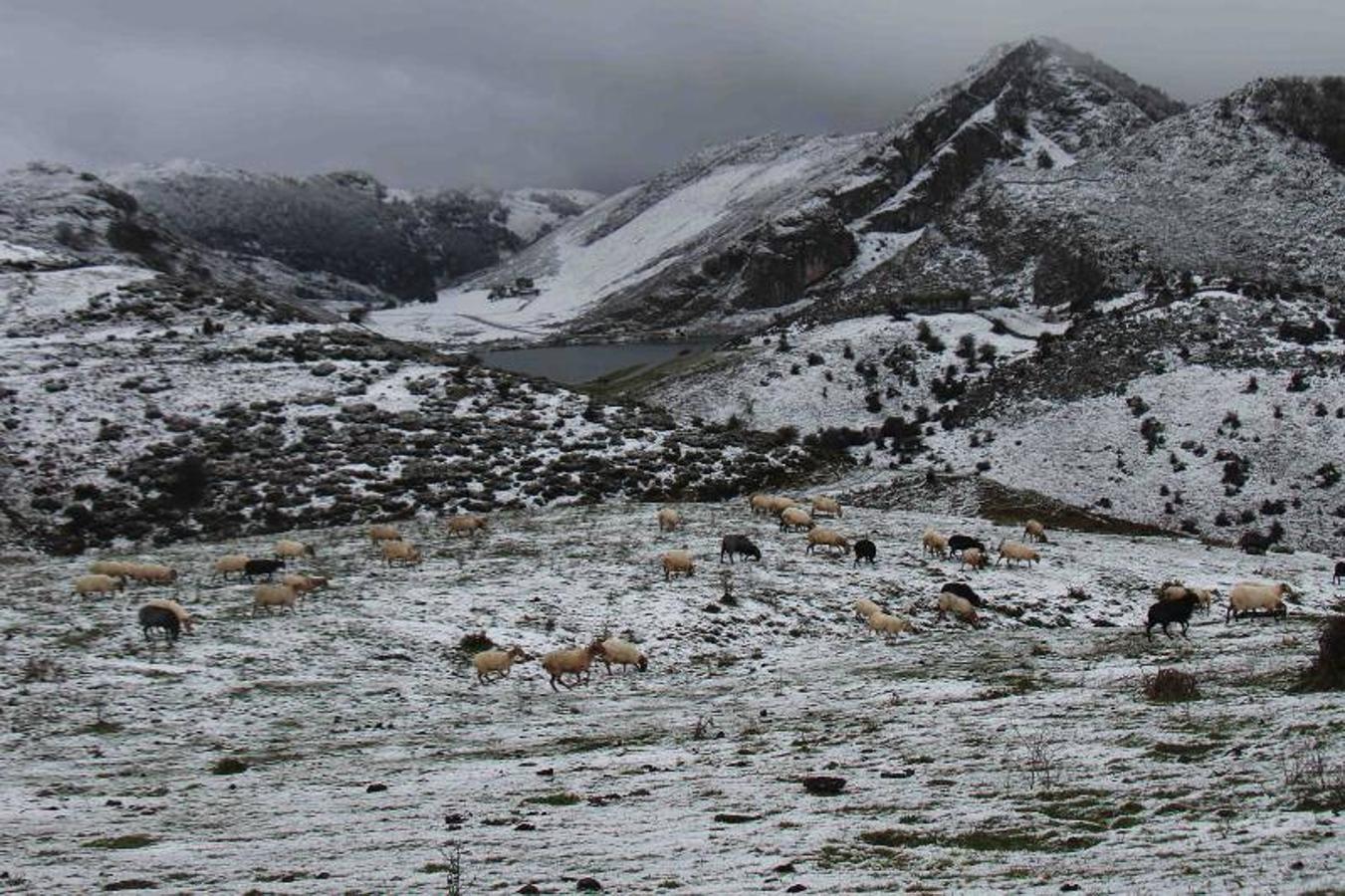 Los Lagos se cubren de nieve