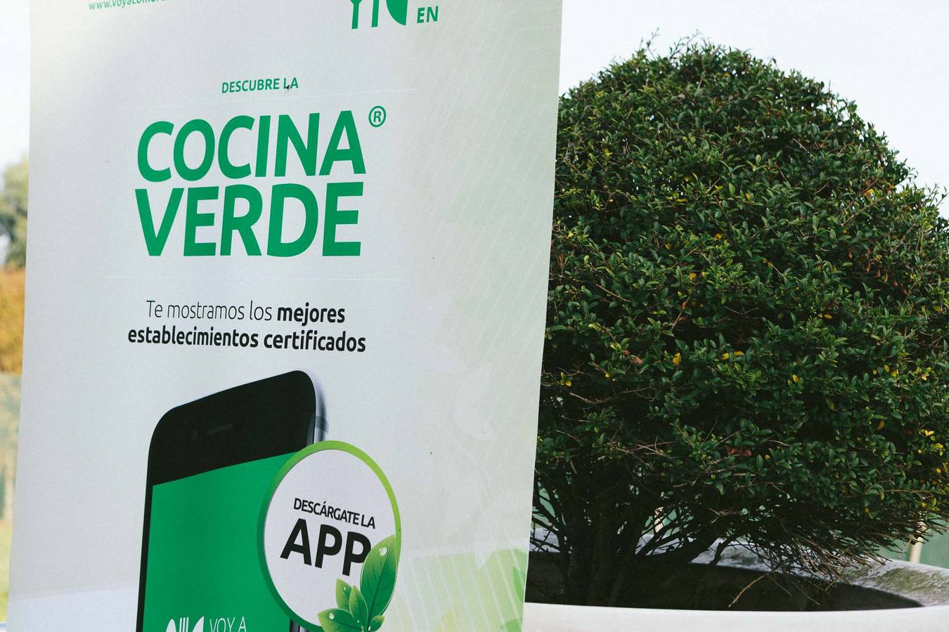 Burbujas 2016, el salón de los espumosos (2)
