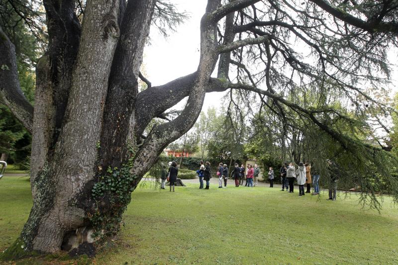 Visita guiada a los jardines del Museo Evaristo Valle