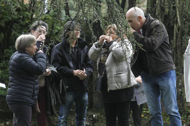 Visita guiada a los jardines del Museo Evaristo Valle