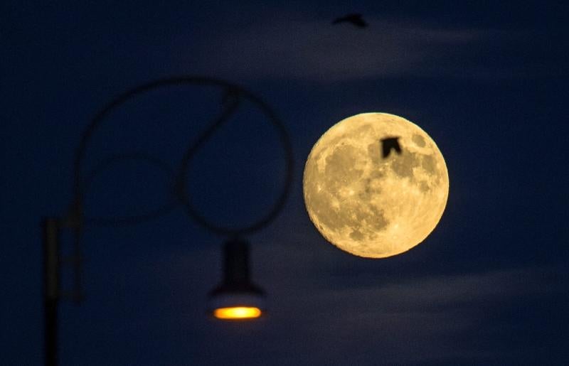 La superluna se asoma al mundo