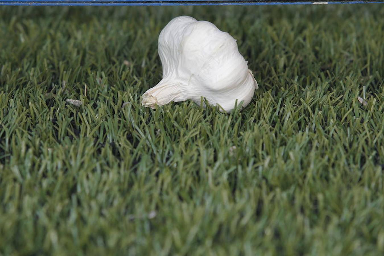 ¿Estuviste en el Oviedo – Nàstic? ¡Búscate!