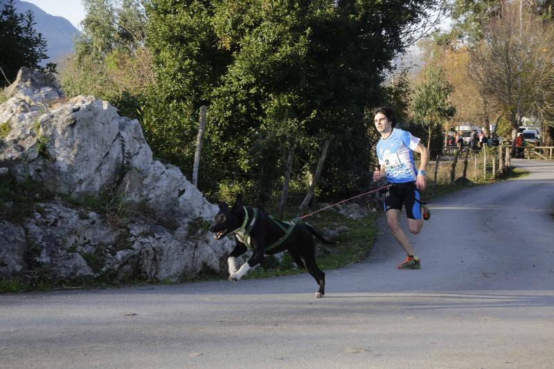 Mushing ‘Los Bufones de Pría’