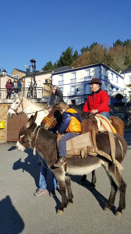Oscos. La comarca de los Oscos celebró la San Silvestre a caballo. Los más pequeños optaron por el burro.