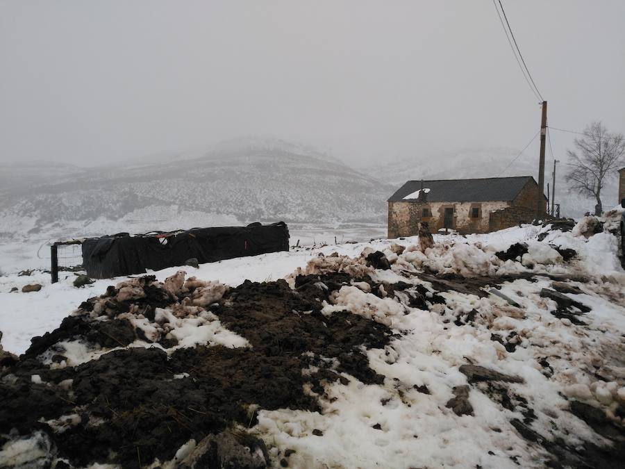 La nieve cubre Asturias a la espera de una ola de frío siberiano