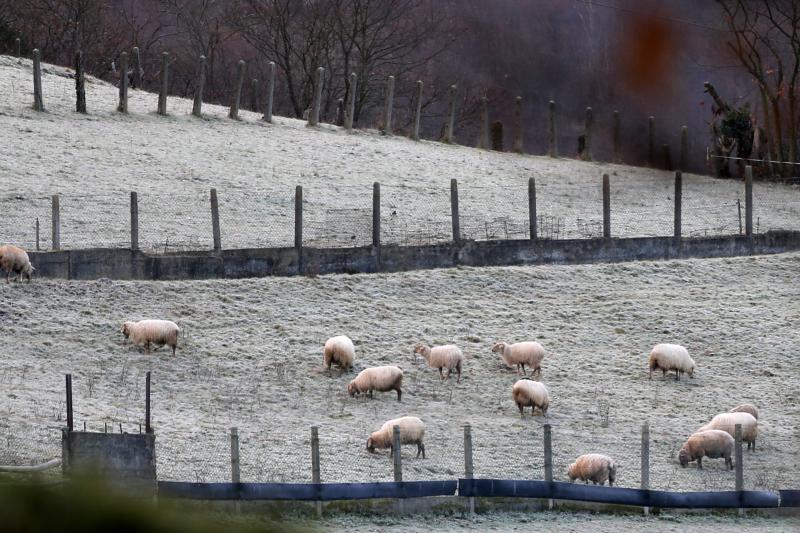 Las increíbles imágenes que deja la ola de frío en Asturias