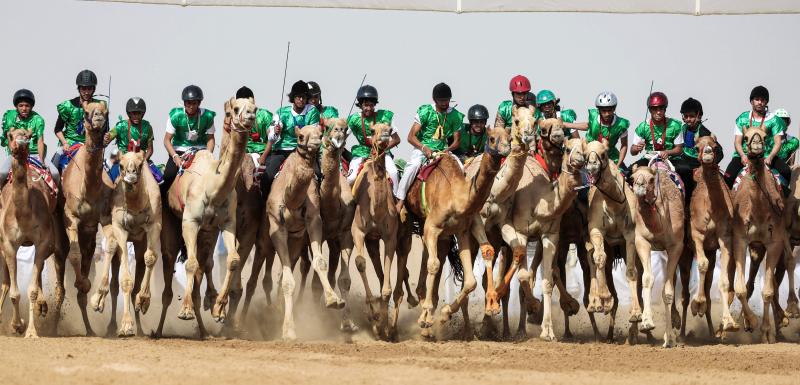 Presumiendo de camellos