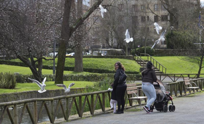 La fauna del parque de Isabel la Católica