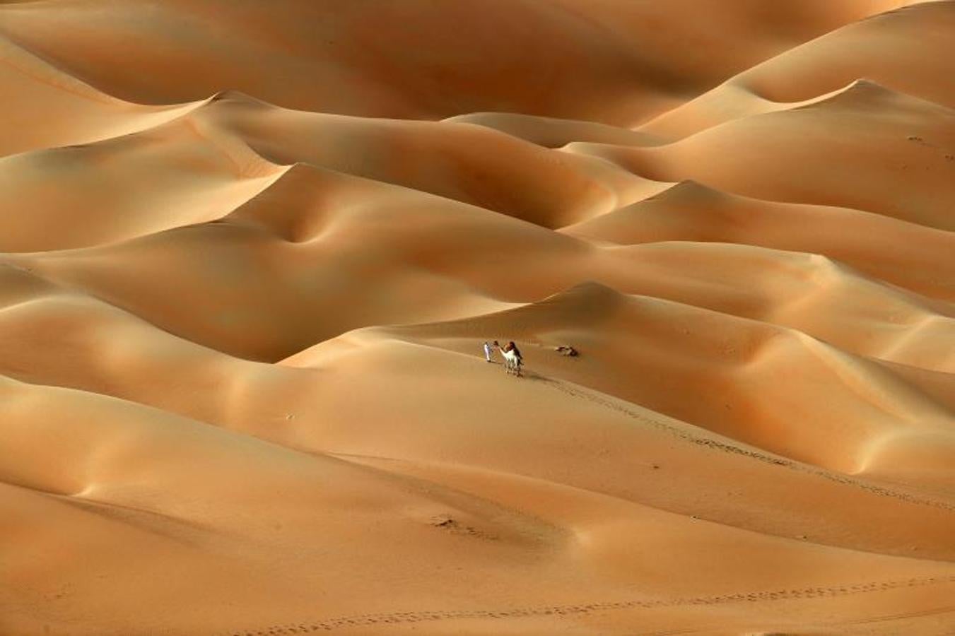 La belleza del desierto