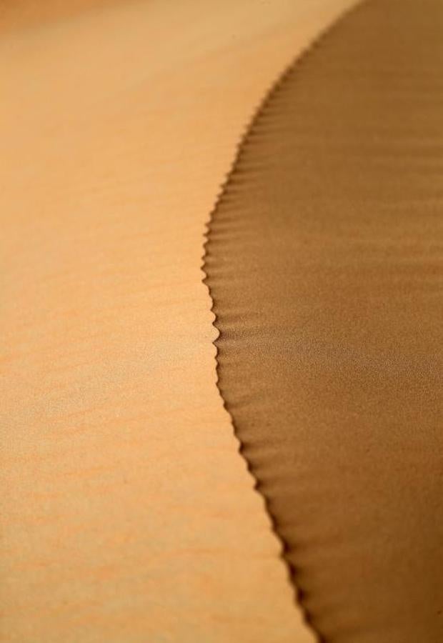 La belleza del desierto