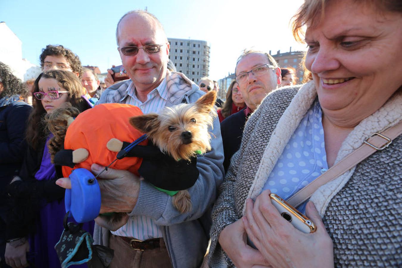 I Concurso de Mascotas Antroxaes